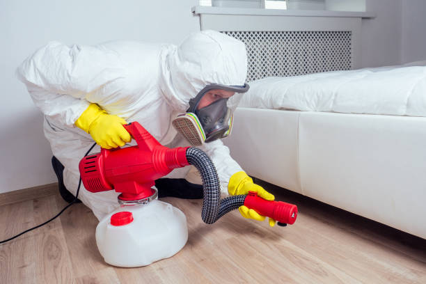 Professional Pest control in Coronado, CA